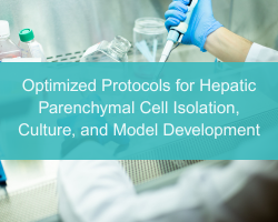 Optimized Protocols for Hepatic Parenchymal Cell Isolation, Culture, and Model Development - cover
